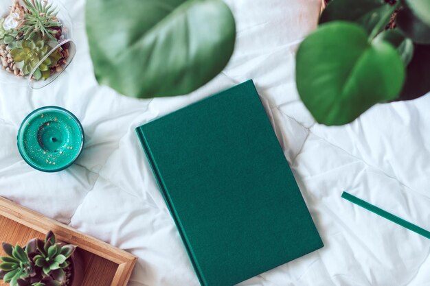 Mise à plat confortable sur une couverture blanche avec des plantes, des écouteurs, des bougies, un journal succulent et vert, vue de dessus