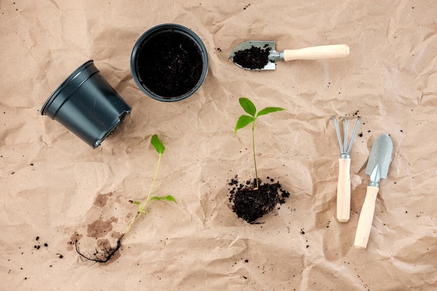 Mise à plat d'ensemble de jardinage pots de fleurs en plastique noir et semis sur fond de papier kraft