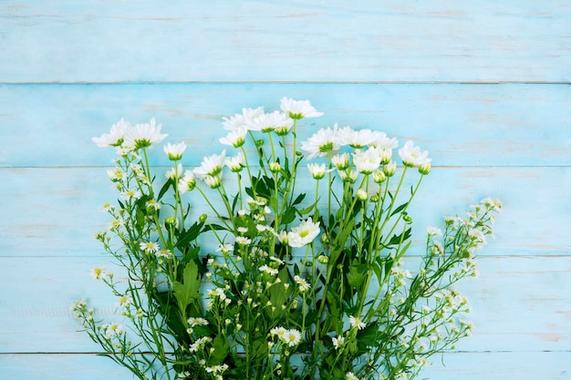 Mise à plat de fleur de gerbera blanc