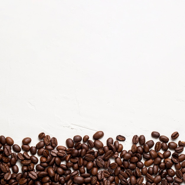 Mise à plat des grains de café sur fond blanc avec copie-espace