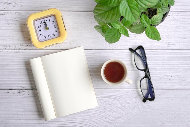 Mise à plat de lunettes d'horloge à café bloc-notes et plante verte