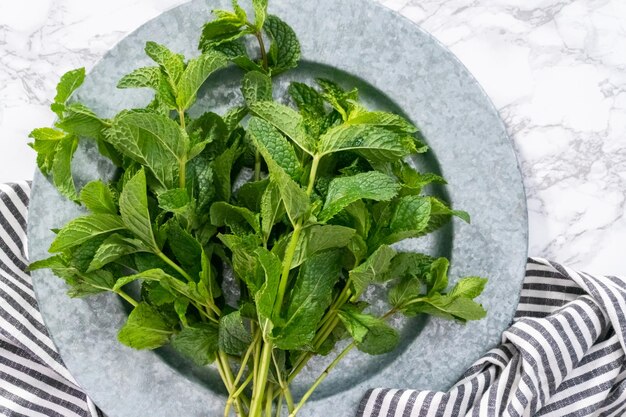 Mise à plat. Menthe fraîche du jardin bio sur fond marbré.