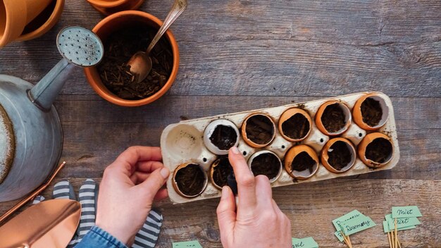 Mise à plat. Pas à pas. Planter des graines dans des coquilles d'œufs et les étiqueter avec de petites étiquettes de plantes.