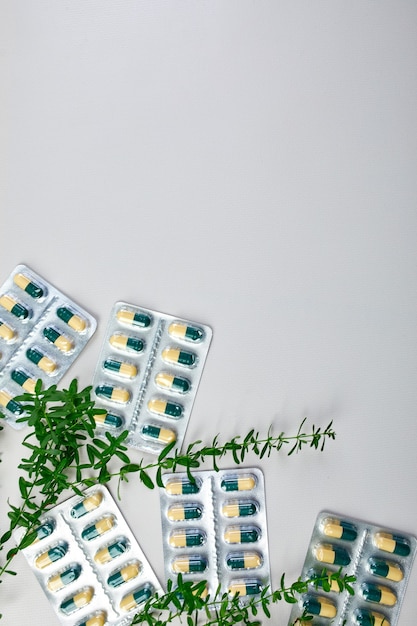 Mise à plat des pilules médicales biologiques, capsules sous blisters avec feuille verte, plante à base de plantes sur fond gris