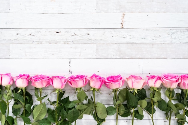 Mise à plat des roses roses avec la tige sur un fond de bois peint en blanc