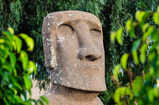 Moai debout de l'île de Pâques