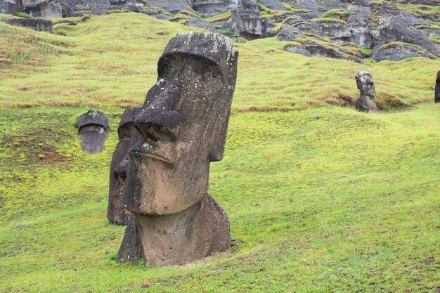 Moais à Rano Raraku, île de Pâques, Rapa Nui.