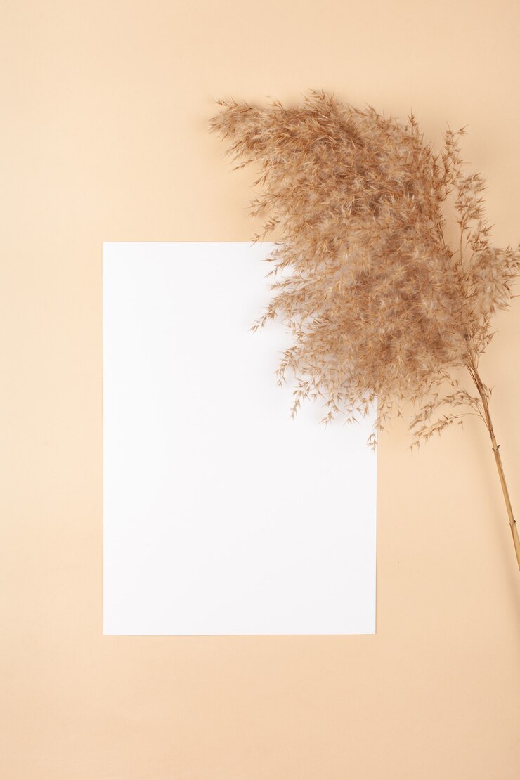 Mocup sur fond beige. Espace blanc vide pour le texte.