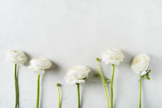 La mode blanche, fleurs plat poser fond pour la fête des mères, anniversaire, Pâques et mariage