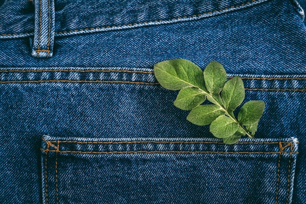 Mode durable économie circulaire denim vêtements respectueux de l'environnement plante à feuilles vertes sur denim bleu