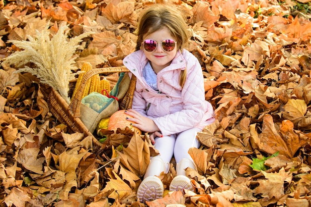 Mode enfant d'automne. Petite fille en feuilles jaunes d'automne. Extérieur.