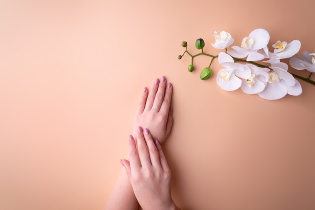 Photo mode, mains féminines avec manucure, soin des ongles, fleurs d’orchidées blanches, peau saine et cosmétiques naturels. vue de dessus contrastant sur un fond poudré.