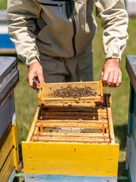 Mode de vie agricole apiculture travail Miellerie matériel en acier