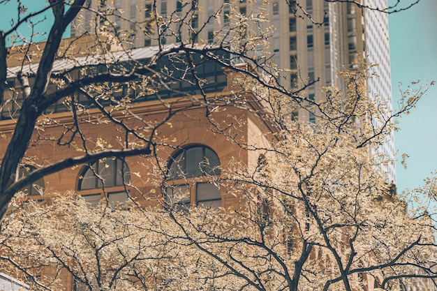 Mode de vie urbain dans la ville de Denver dans l'état du Colorado.