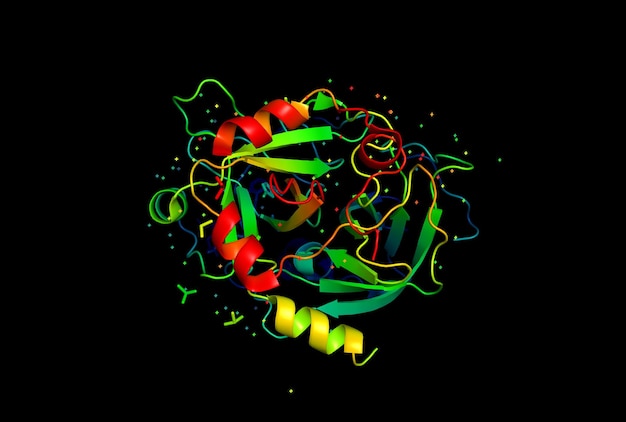 Modèle 3D d'une molécule de protéine