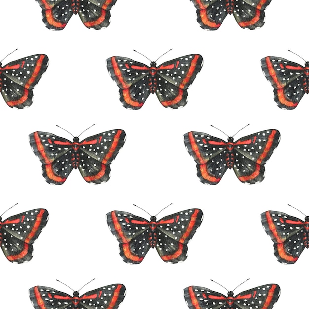 Modèle aquarelle transparente avec illustration de papillons noirs avec motif rouge
