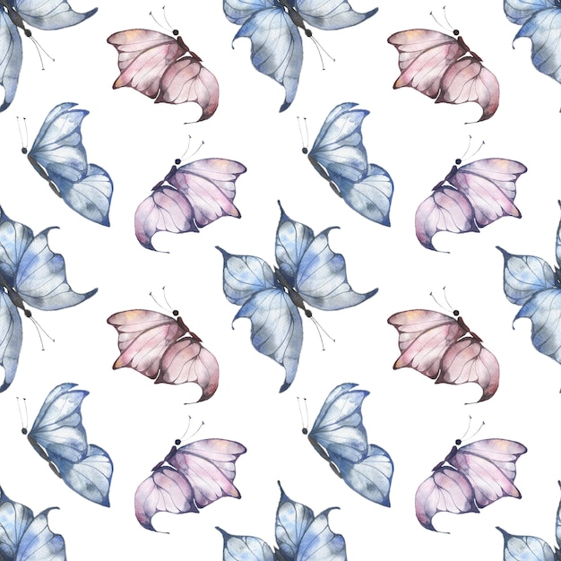 Modèle aquarelle transparente avec des papillons lumineux roses et bleus sur fond blanc, conception d'été pour tissus, cartes postales, emballages, cadeaux