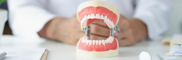 Modèle artificiel de la mâchoire humaine sur table au traitement dentaire du dentiste et beau concept de sourire