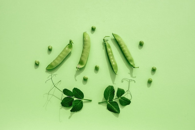 Modèle à base de gousses de pois verts sur fond vert. Composition minimaliste. Monochrome