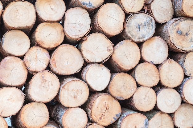 Modèle de bois gros plan sur le tas de vieux bois texturé fond texturé