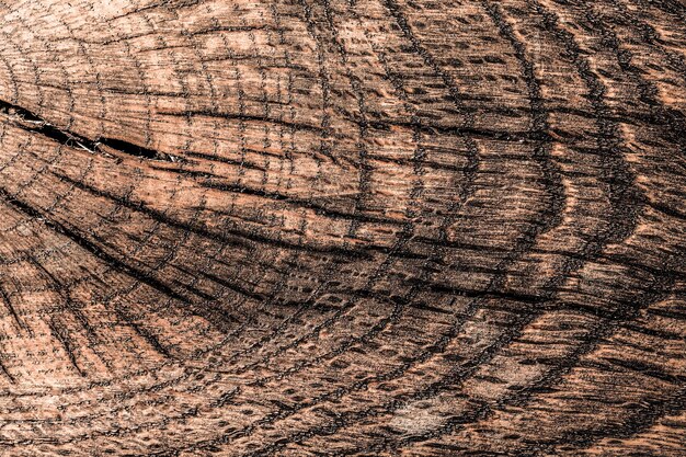 Modèle en bois naturel brun vintage