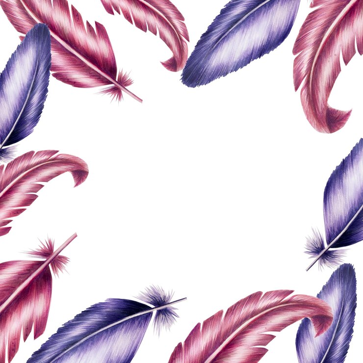 Photo modèle de cadre avec des plumes dessinées à la main aquarelle illustration réaliste isolée sur blanc