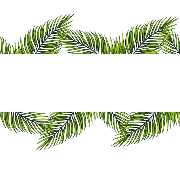 Modèle carré pour le texte avec des feuilles de palmier tropical Cadre ou bordure avec des plantes exotiques de la forêt tropicale de la jungle Isolé sur blanc illustration réaliste dessinée à la main pour la conception d'étiquettes