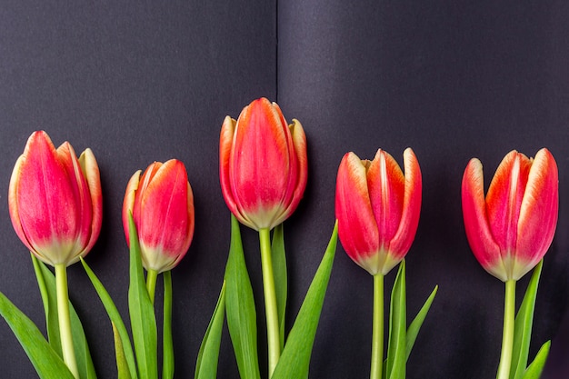 Modèle de carte de voeux vierge pour le Memorial Day. Journal ouvert noir décoré de tulipes rouges printanières avec un espace pour le texte ou les lettres.