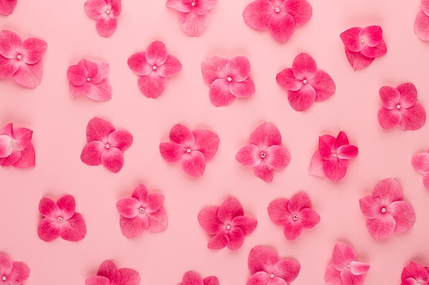 Modèle de composition de fleurs en fleurs roses