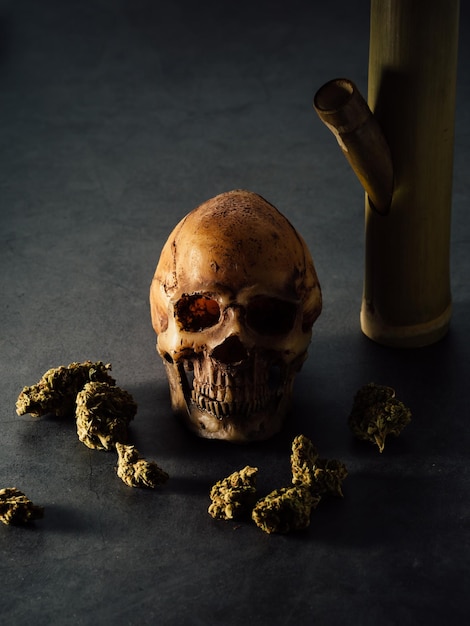 Photo modèle de crâne avec du cannabis sur fond noir
