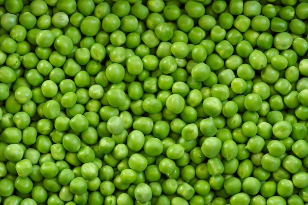 Modèle de culture de pois verts frais