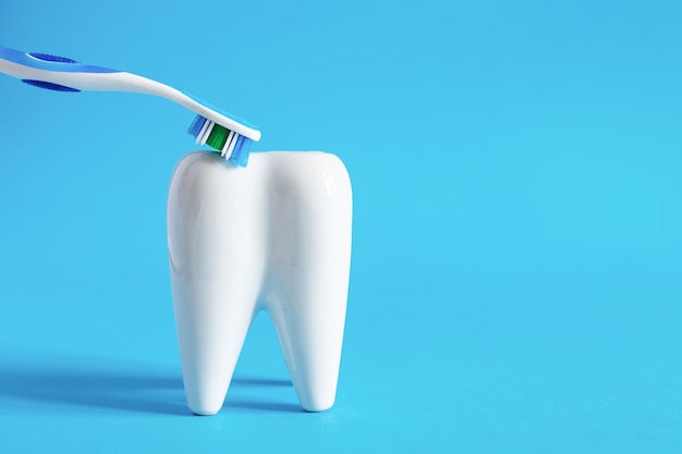 Modèle de dent blanche et brosse à dents sur fond bleu Concept de soins dentaires Nettoyage des dents