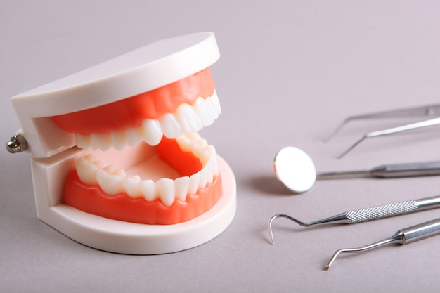 Modèle de dents et instruments dentaires et produits de soins dentaires