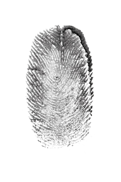 modèle d'empreinte digitale isolé sur blanc Image