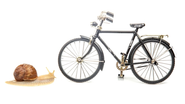 Modèle d'escargot et de vélo sur fond blanc La vitesse de mouvement des véhicules en comparaison