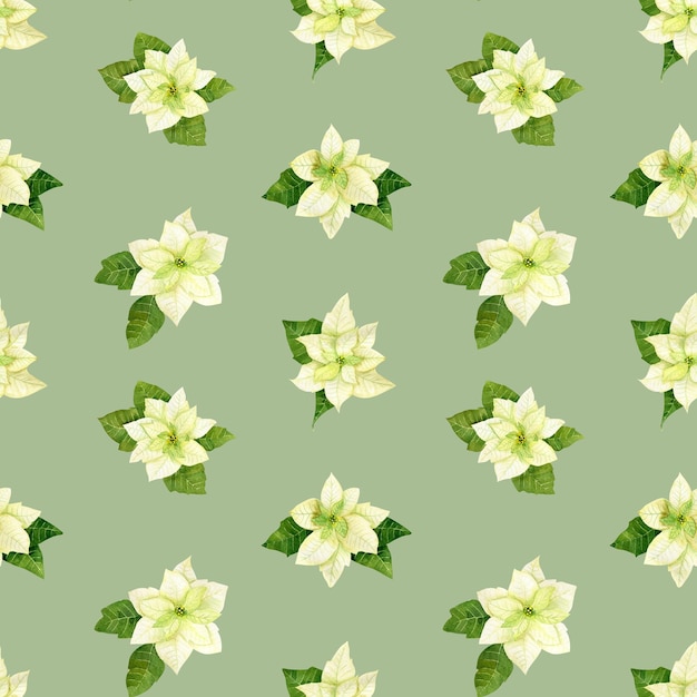 Modèle de fleurs de noël aquarelle Branches de poinsettia blanc d'épinette et de verdure d'hiver