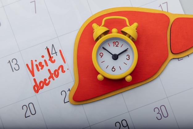 Modèle de foie avec réveil jaune sur calendrier avec marque. Concept de diagnostic précoce.