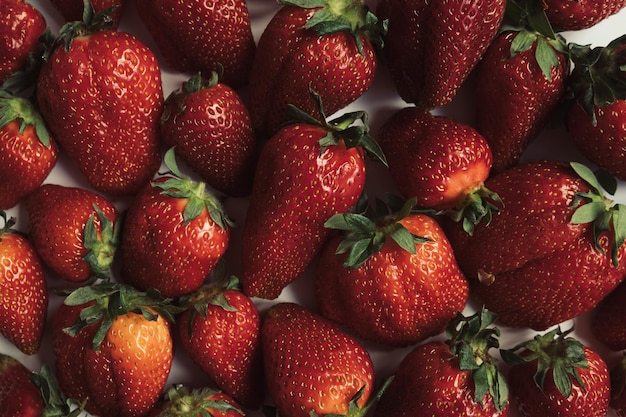 Modèle de fraises de fraises sur fond blanc Vue de dessus