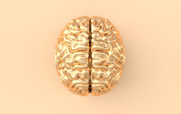 Modèle d'illustration de rendu de cerveau 3D.