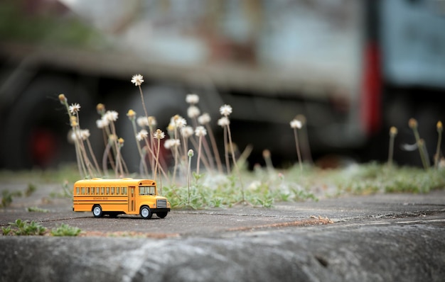 Modèle de jouet d'autobus scolaire jaune sur une route de campagne