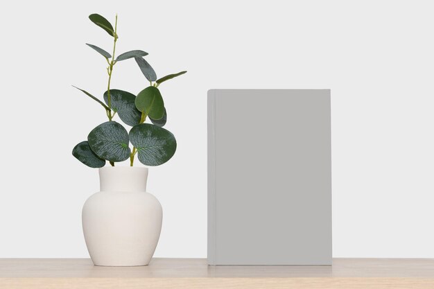 Modèle d'un livre gris et d'un vase gris avec des branches d'eucalyptus verts sur un fond gris