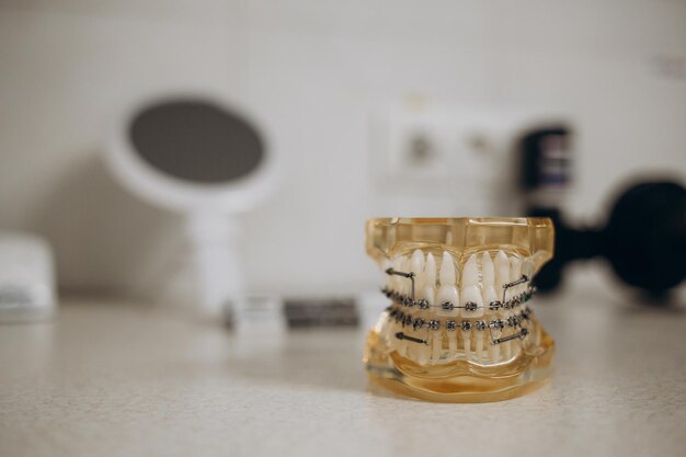 Modèle de mâchoire avec accolades Dents artificielles en clinique dentaire