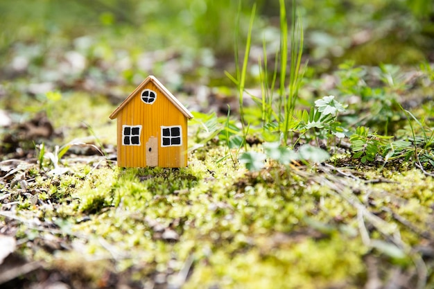 modèle de maison miniature sur fond d'herbe