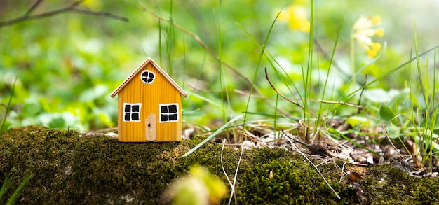 Modèle de maison miniature sur fond d'herbe