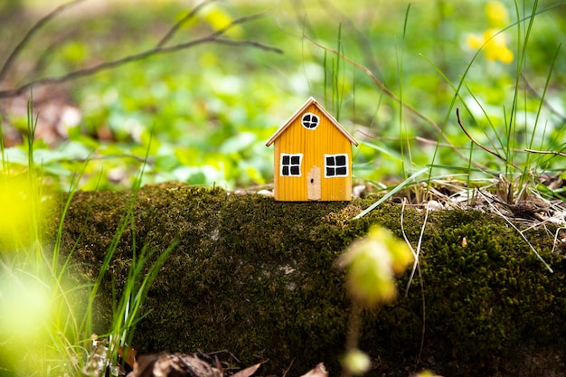 Modèle de maison miniature sur fond d'herbe