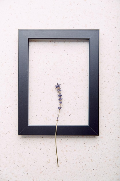Modèle de maquette de cadre de mur noir intérieur vide avec fond de concept écologique minimaliste esthétique lavande