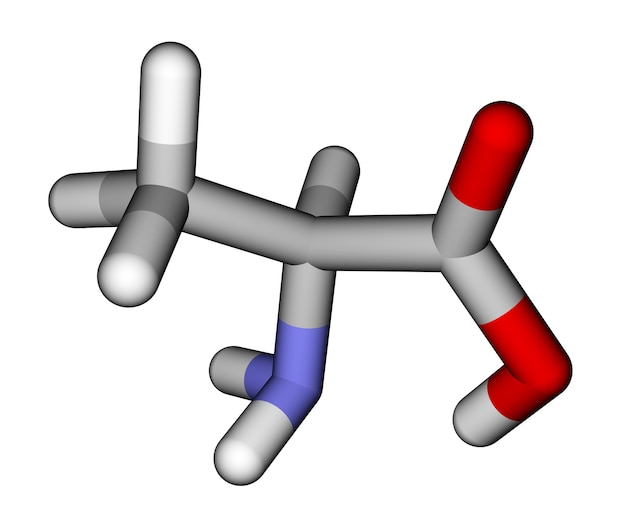 Modèle moléculaire 3D d'alanine d'acide aminé