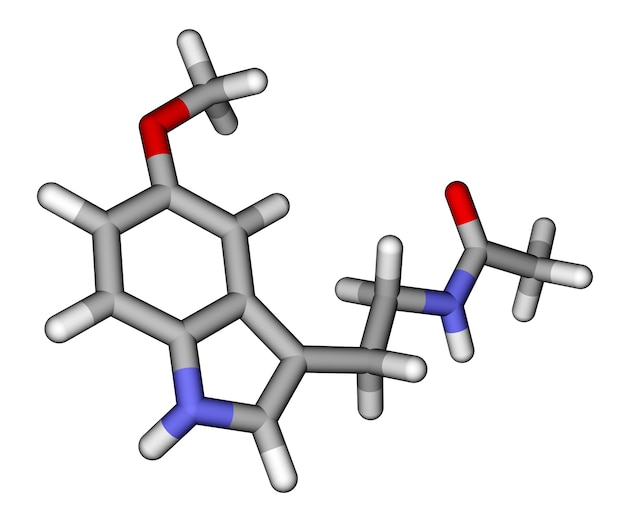 Modèle moléculaire des bâtons de mélatonine