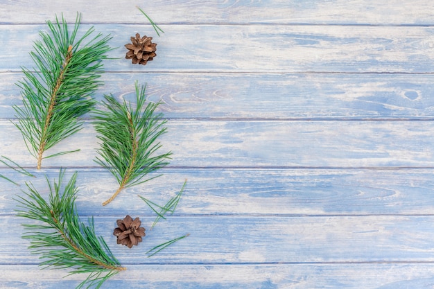 Modèle de Noël avec des branches de pin sapin arbre