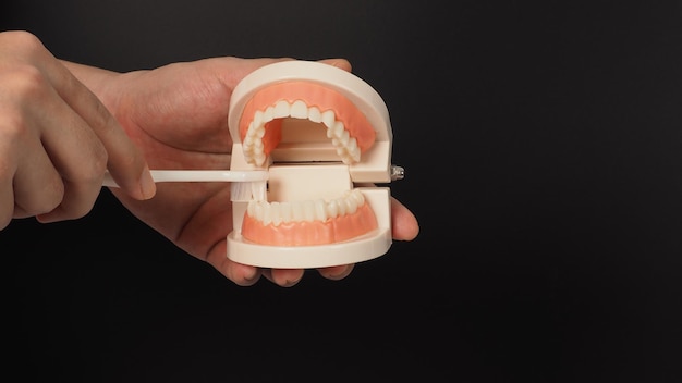 Modèle orthodontique de dents et brosse à dents à la main sur fond noir.